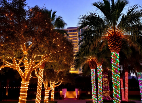 Install Christmas lights on trees at a hotel in Myrtle Beach.